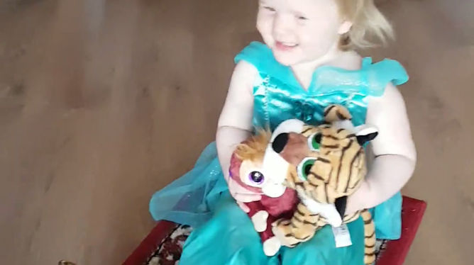 205169057 princess flies alone magic car